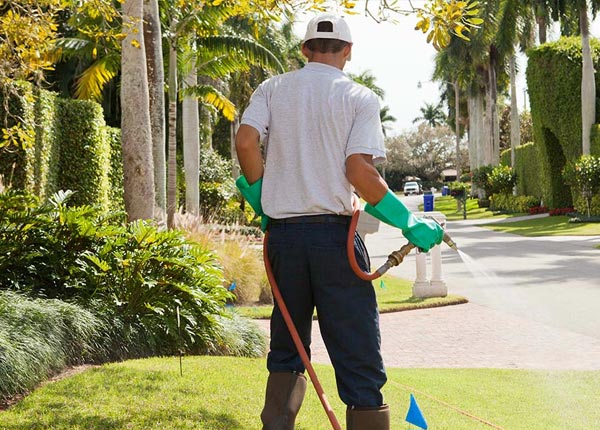 About Sandisfield MA Pest Control Pros